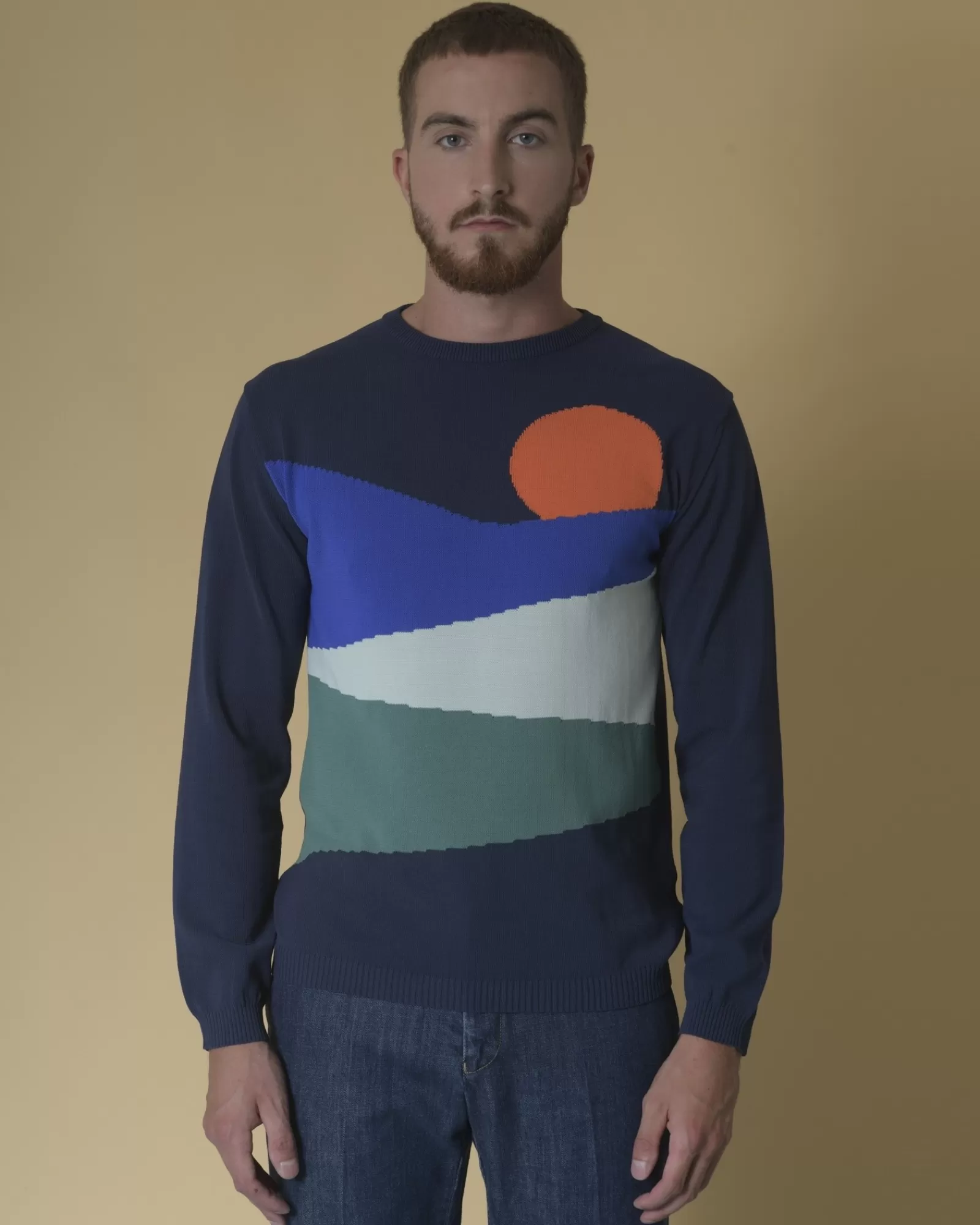 La Piscine Paris Pull en coton mélangé à motif intarsia Daniele Fiesoli Bleu Store